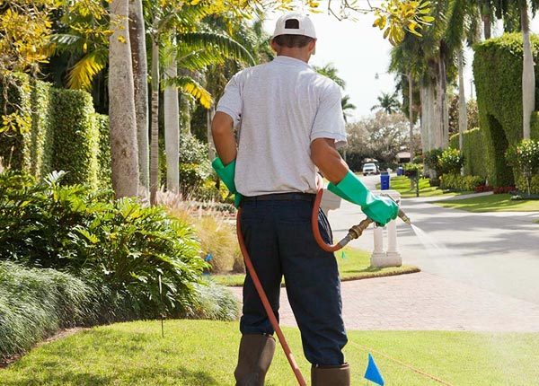 About Homerville OH Pest Control